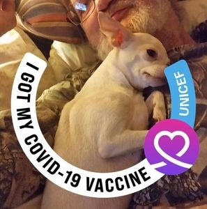 Meet your Posher, Terry